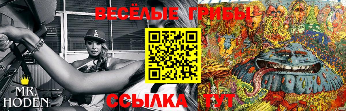 Галлюциногенные грибы Cubensis  Вход с VPN  Егорьевск  Псилоцибиновые грибы Psilocybine cubensis 