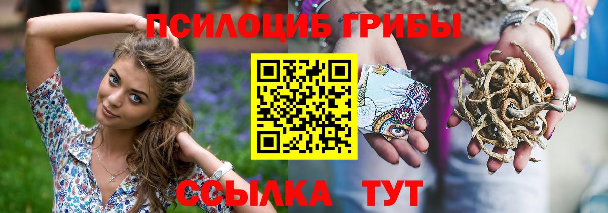 Галлюциногенные грибы мухоморы Егорьевск