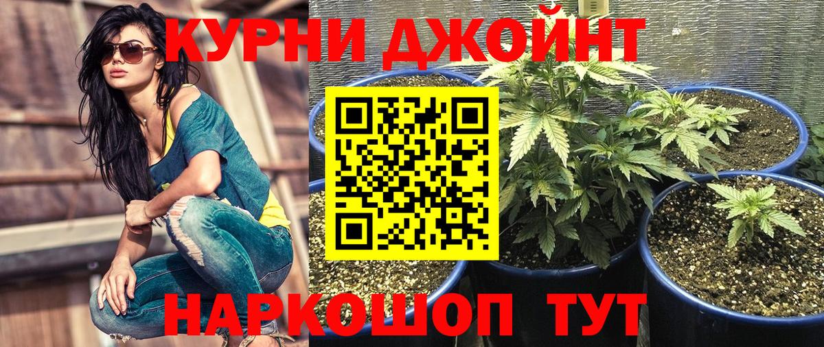 Каннабис OG Kush Егорьевск